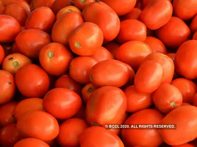 Tomato (టమోటా )